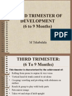 Third Trimester