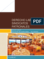 Derecho Laboral Sindicatos Patronales