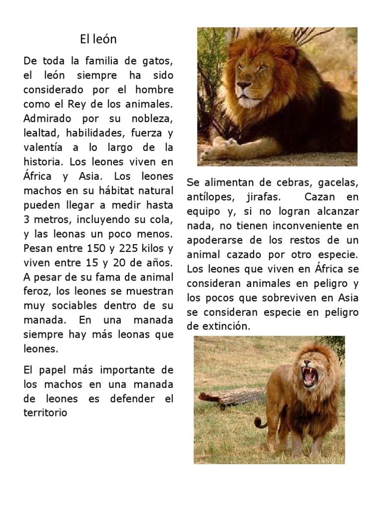 Textos para Fichas | PDF | Lobo gris | León
