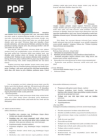 Download Nefrostomi by Benk Gaze SN247568103 doc pdf