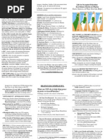 Tri-Fold Flyer about Israel/Palestinian Conflict, BDS 