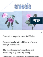 Osmosis