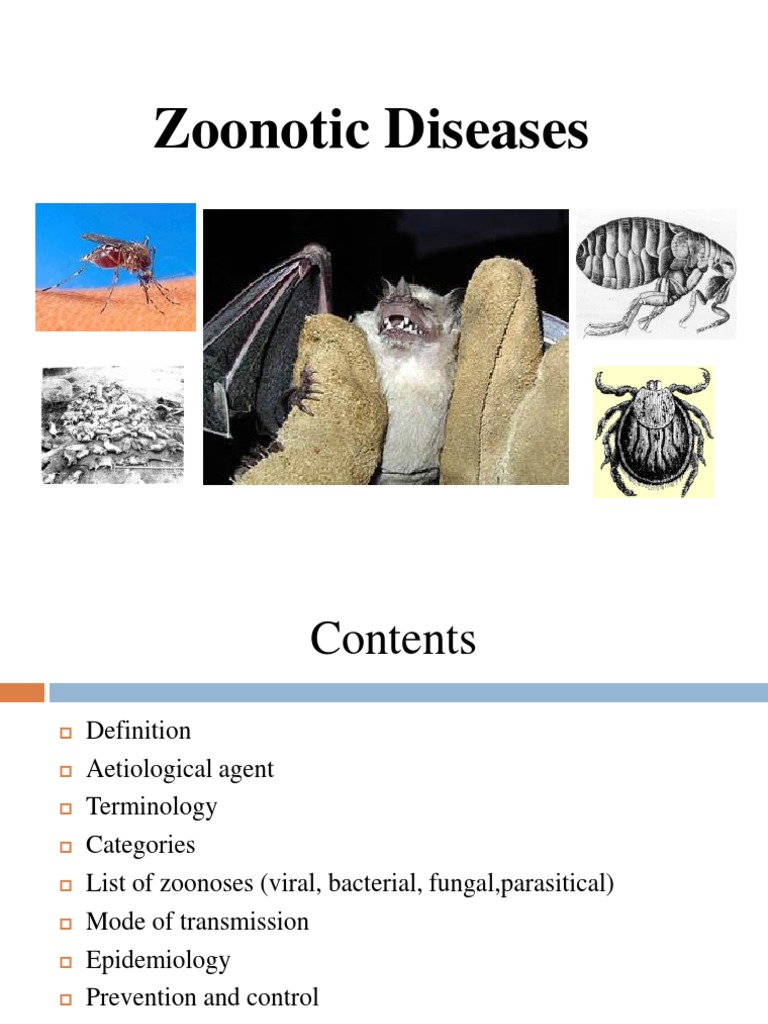 Zoonotic Disease | Rabies | Transmission (Medicine)