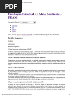 FEAM - FAQ Dúvidas Frequentes