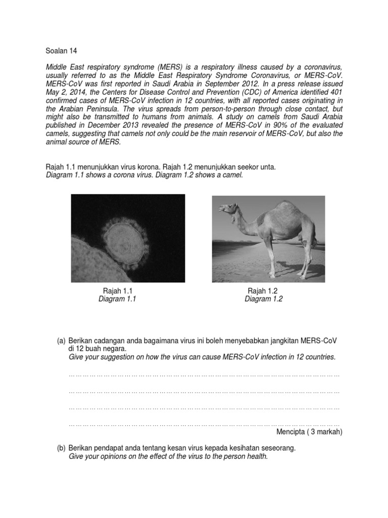 Biology Contoh Soalan KBAT  Transmission (Medicine 