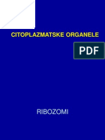 Citoplazmatske Organele 08
