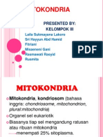 KLP 3 Mitokondria