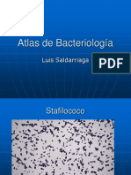 Atlas-Bacteriologia.ppt