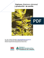 Cultivo de Espinaca -Espinacea Oleracea- Produccion Semilla