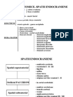 SCHEME Neurochirurgie