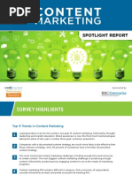 B2B Content Marketing Report