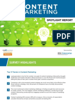 B2B Content Marketing Report