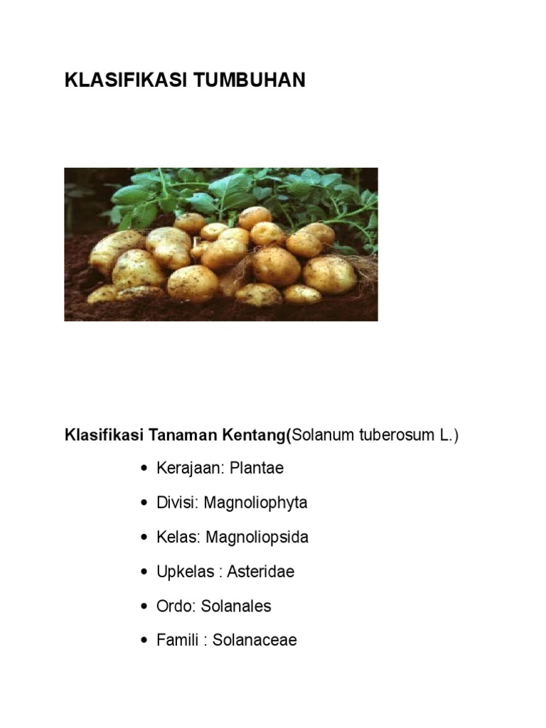 Klasifikasi Tumbuhan