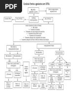 Gestante Com Sifilis e Conduta Com RN