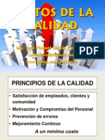 Ceups08 - Costos de Calidad - 042 PDF