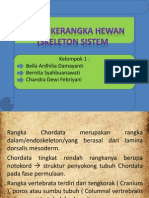 Sistem Kerangka Hewan