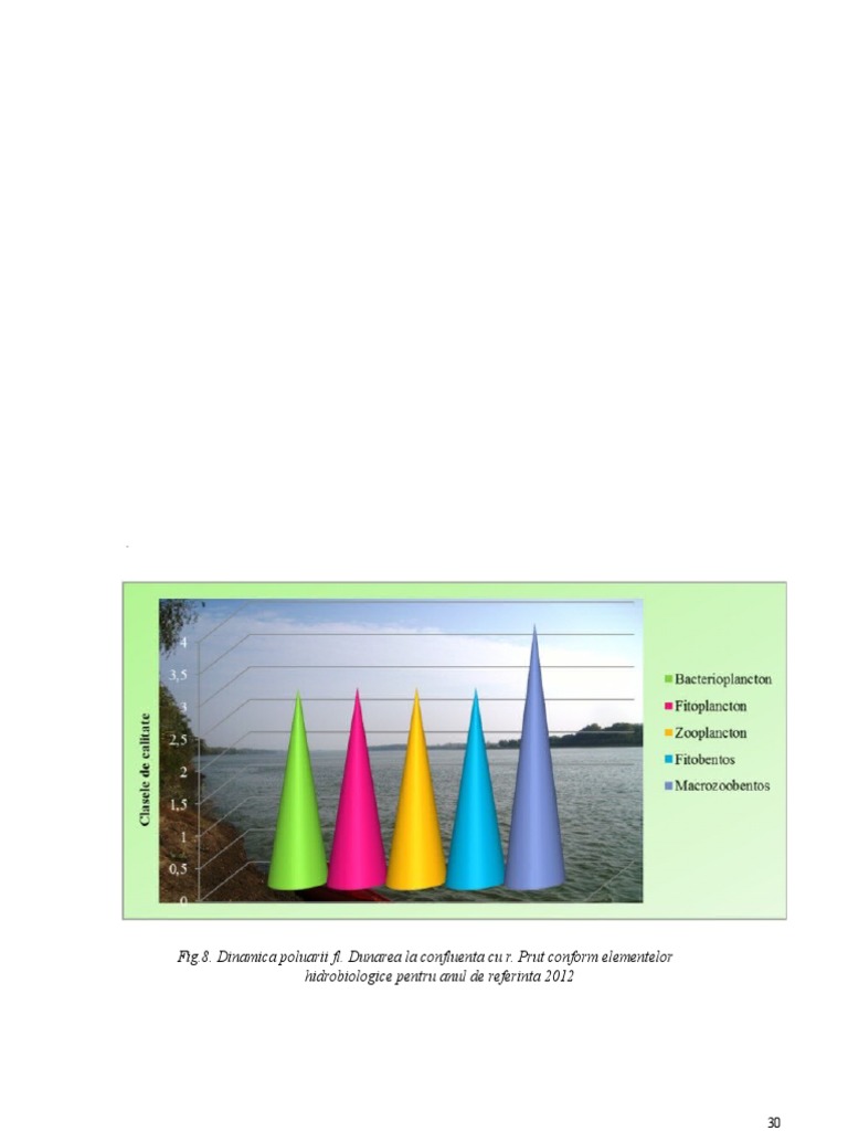 Riul Prut | PDF
