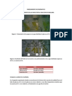 Pardeamiento No Enzimatico