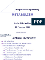 Lecture 8 Metabolism