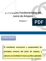 U3 Amparo PDF
