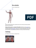 Sistem Kardiovaskular