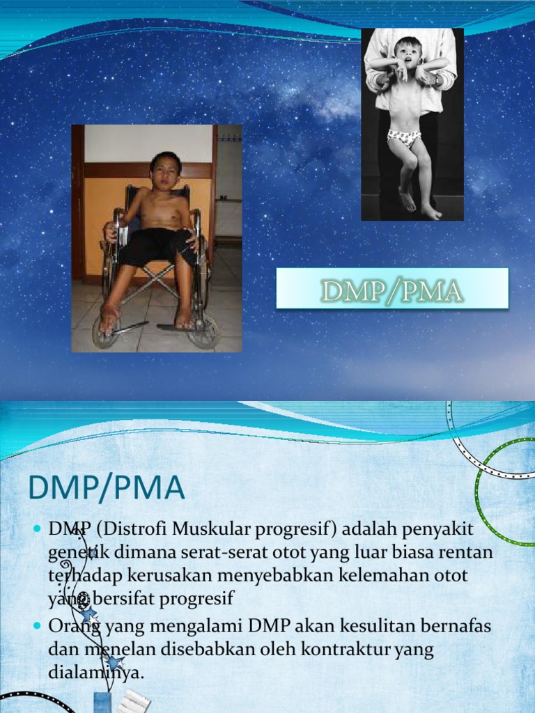 DMP | PDF