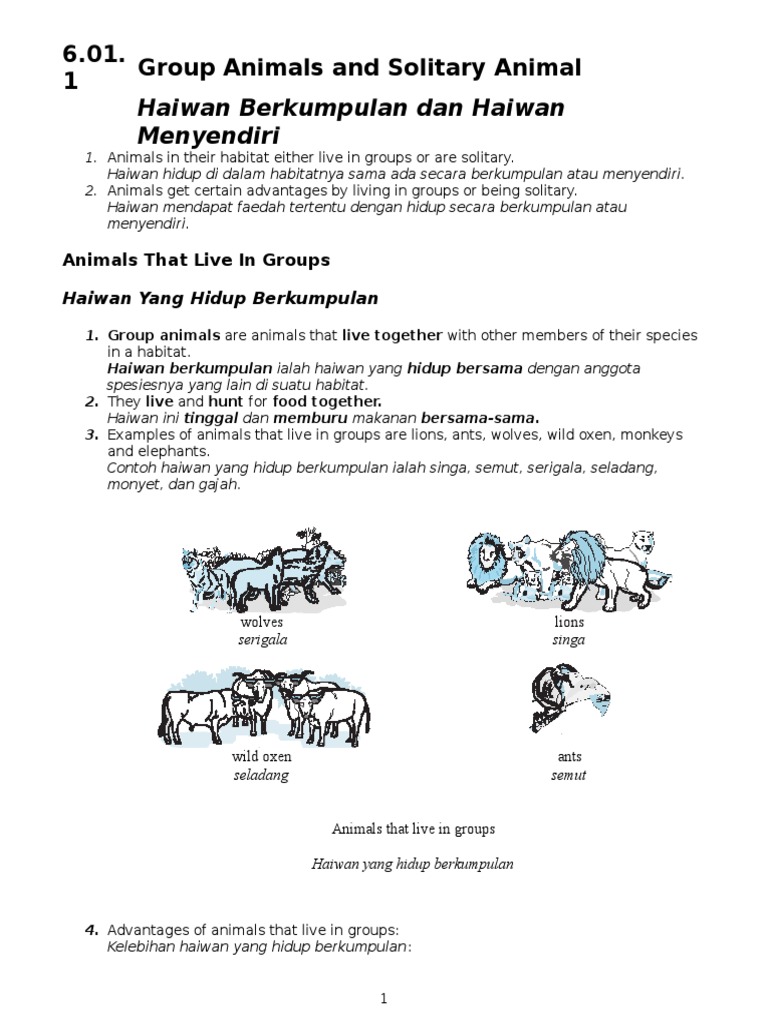 Nota Sains Tahun 6 2013  PDF