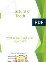 Structure and Position of Tooth and Teeth (Powerpoint)