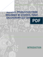 Alcohol Production From Molasses by Ethanol Yeast (1)