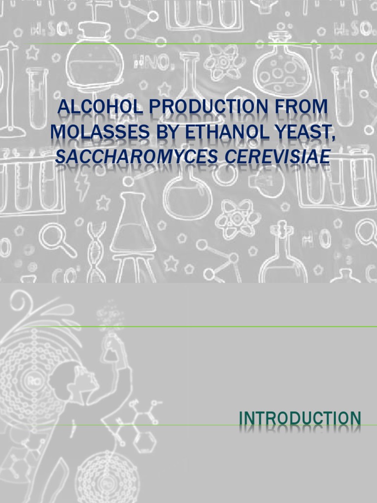 Alcohol Production From Molasses by Ethanol Yeast PDF Molasses Yeast