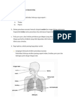 Proses Pernafasan Manusia Nota