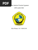 Download Cedera Anterior Cruciate Ligament by felixwinata SN247844544 doc pdf