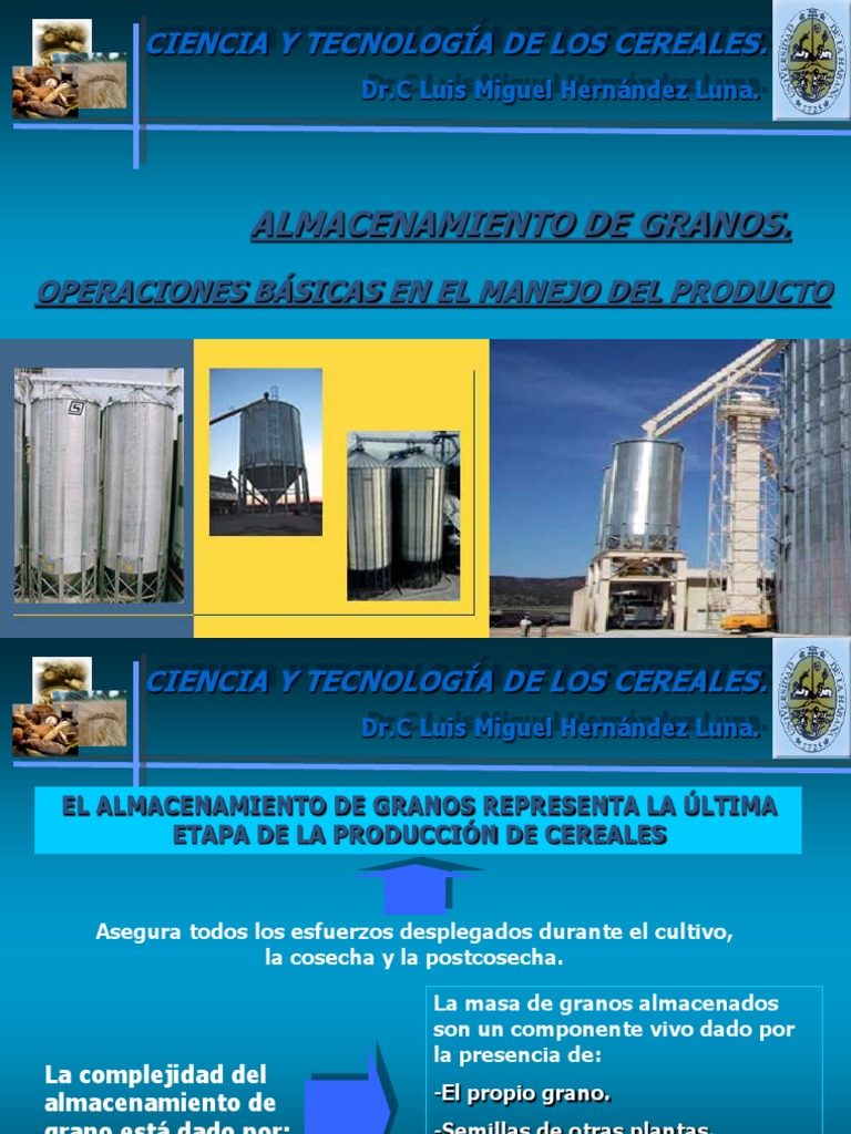 Almacenamiento Eficiente de Granos | PDF | Cereales | Humedad