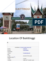 Bukit Ting Gi