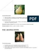 Soiuri de Par PDF