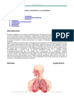 Sistema Respiratorio