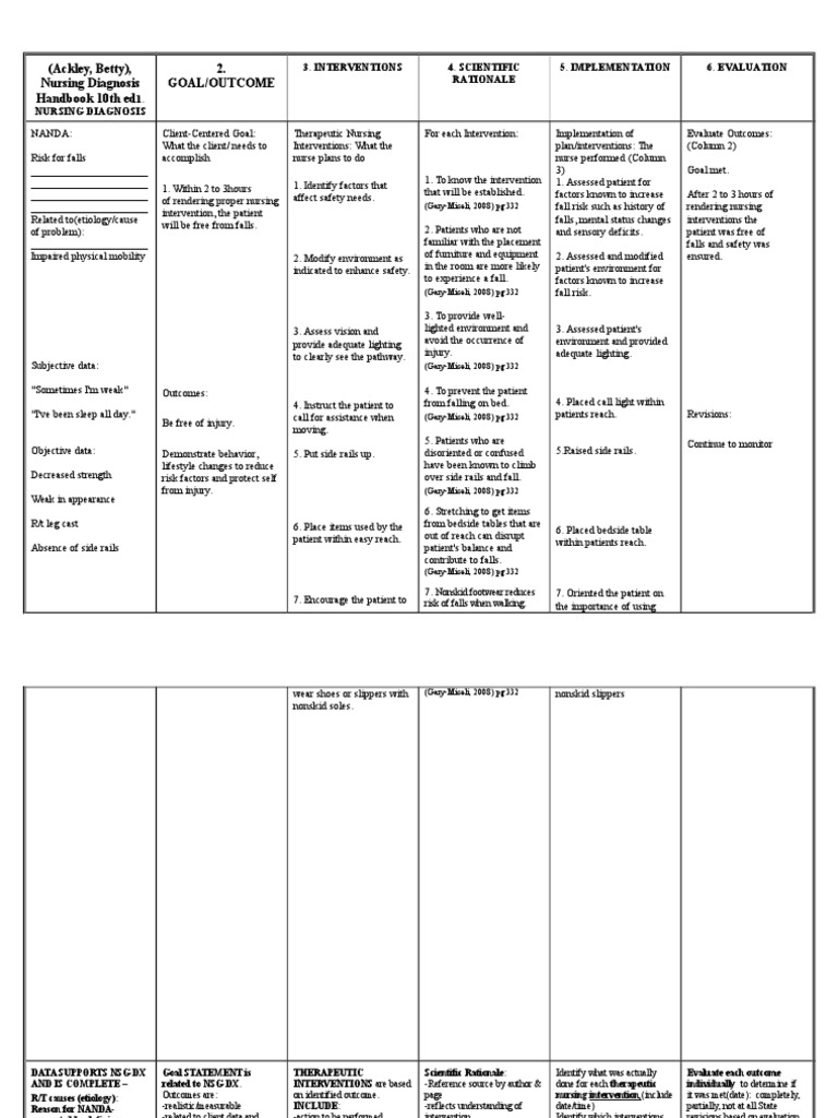 Client Care Plan Risk For Falls Nursing Risk