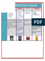 Bebidas Energéticas Naturales PDF