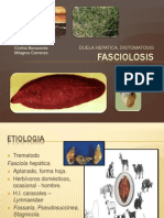 Fasciolosis Sp