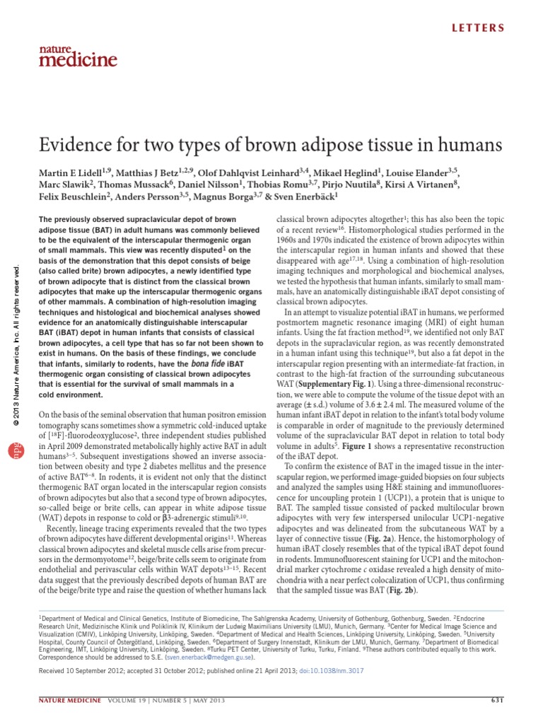 Evidence For Two Types of Brown Adipose Tissue in Humans: Letters | PDF ...