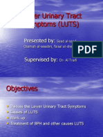 LUTS Causes, Evaluation and Treatment