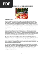 Download Apple Juice Making Process by Ct Hajar SN247914245 doc pdf