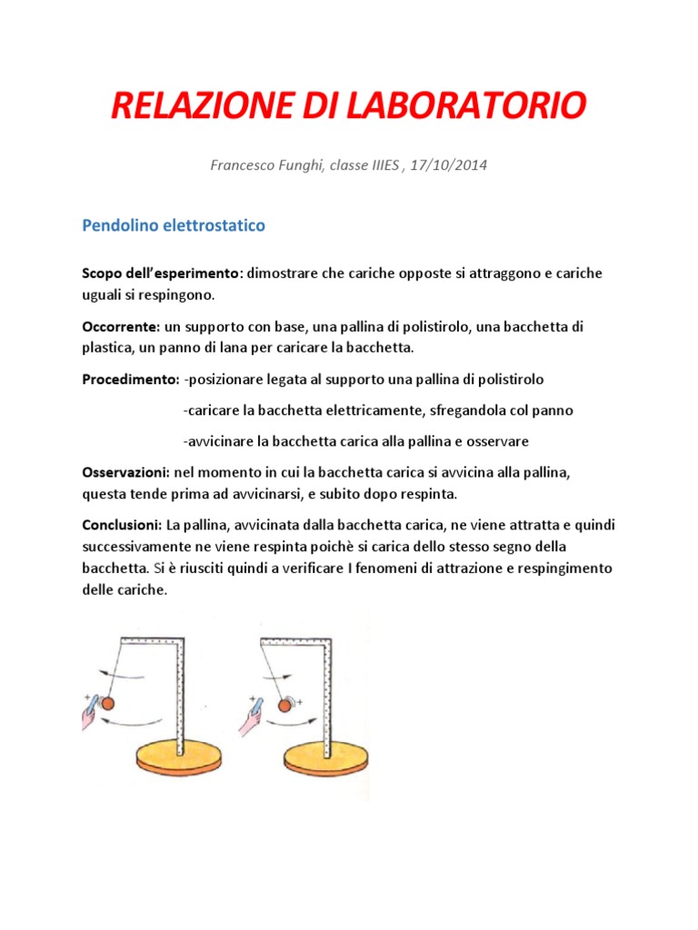 Relazione Di Laboratorio Osservazione Al Microscopio