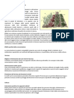 199312113-La-consociazione-delle-piante-ortive.pdf