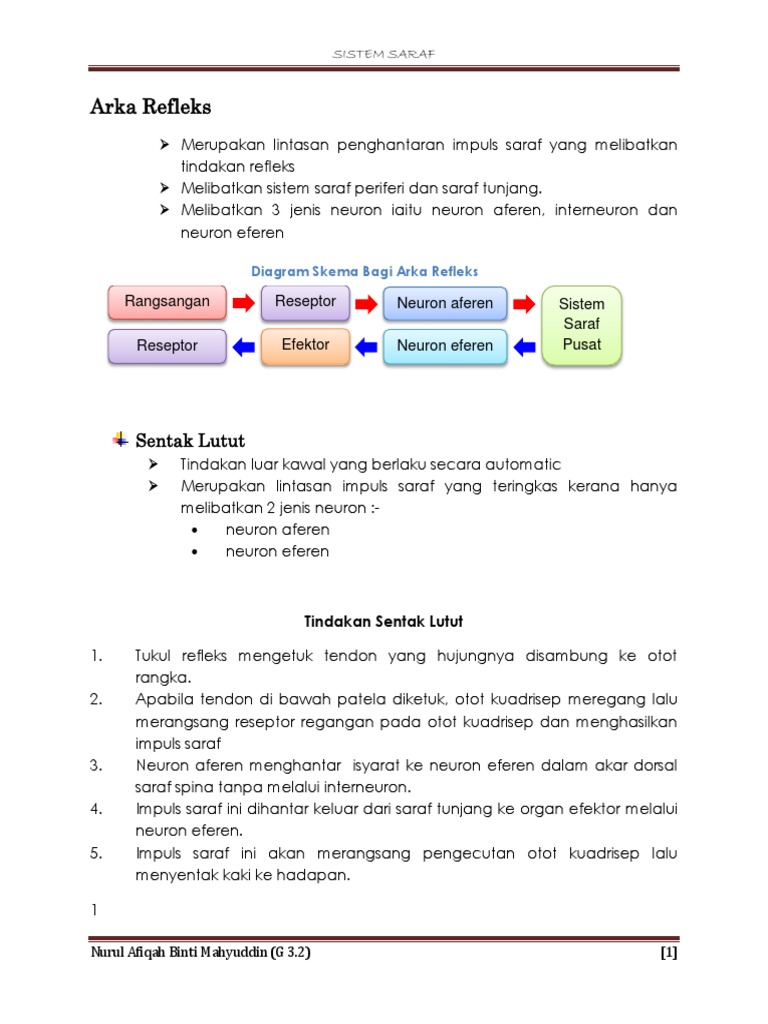 Bab 5 Arka Refleks Pdf
