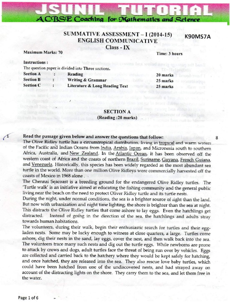 Sample paper of english for class 9 sa1 pdf picture