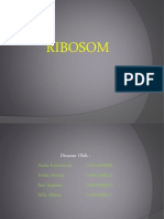 Ribosom