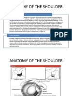 Anatomy of The Shoulder Koran