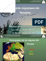 1.Migratia de Toamna