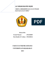 Prepasasi Sayatan Poles-Sayatan Tipis